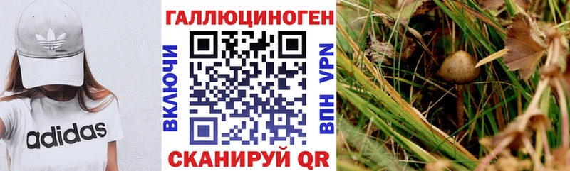 Псилоцибиновые грибы ЛСД где найти Беслан
